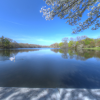 Robinsons Pond